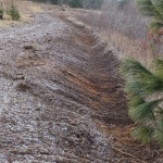 This slightly off contour swale absorbs run-off - filtering the water for the adjoining pond